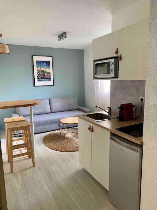 Studio Le Pensier - Monplaisir Lyon Ngoại thất bức ảnh