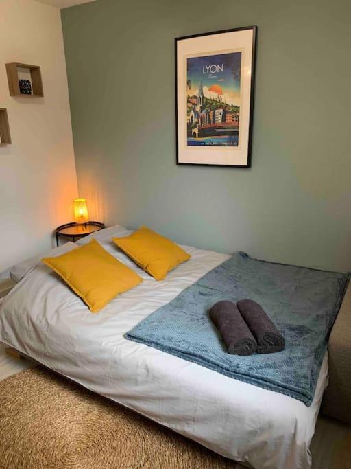 Studio Le Pensier - Monplaisir Lyon Ngoại thất bức ảnh