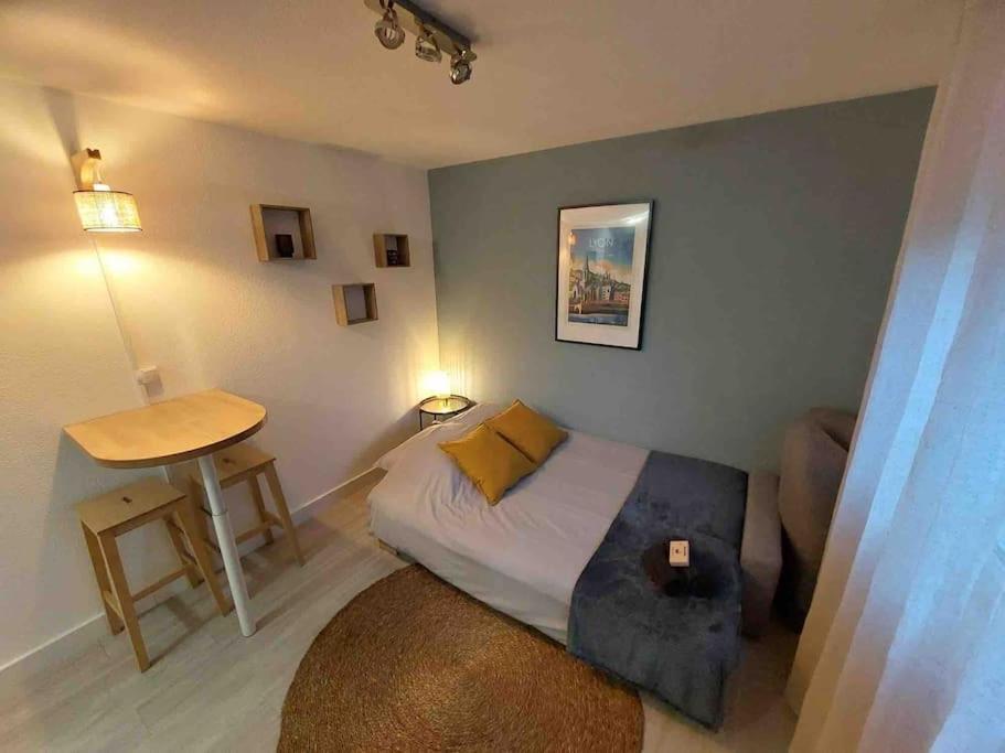 Studio Le Pensier - Monplaisir Lyon Ngoại thất bức ảnh